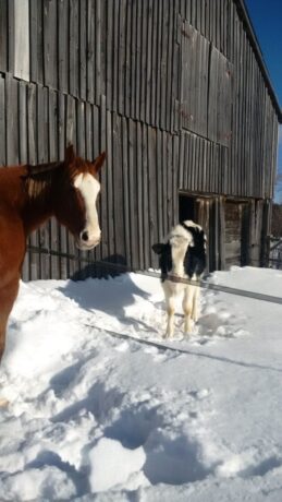 137093971 3871525512897536 3660476724831773710 n 259x460