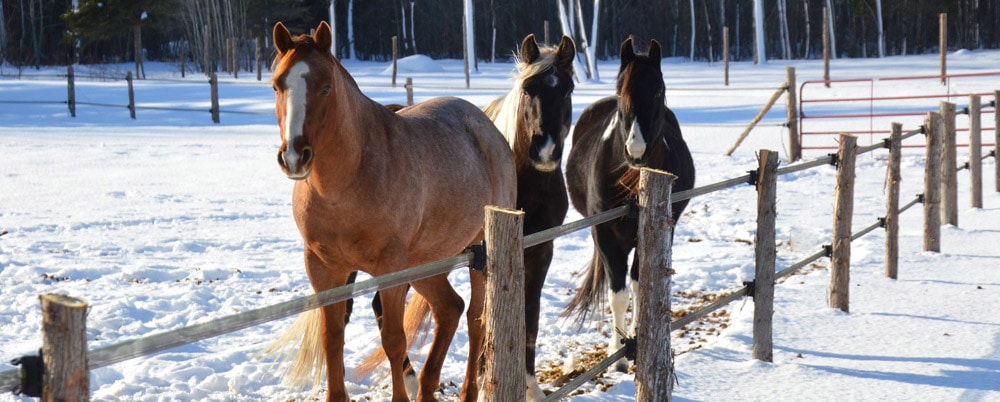 All year long even in winter