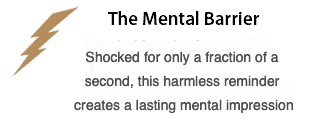 The Mental Barrier Shocked for only a fraction of a second, this harmless reminder creates a lasting mental impression