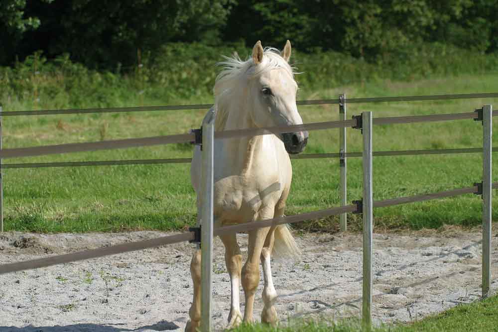 Fr0701