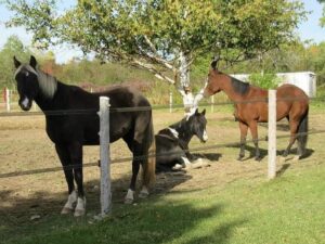 Capture decran 2025 08 02 a 10.36.13 1 1.jpg