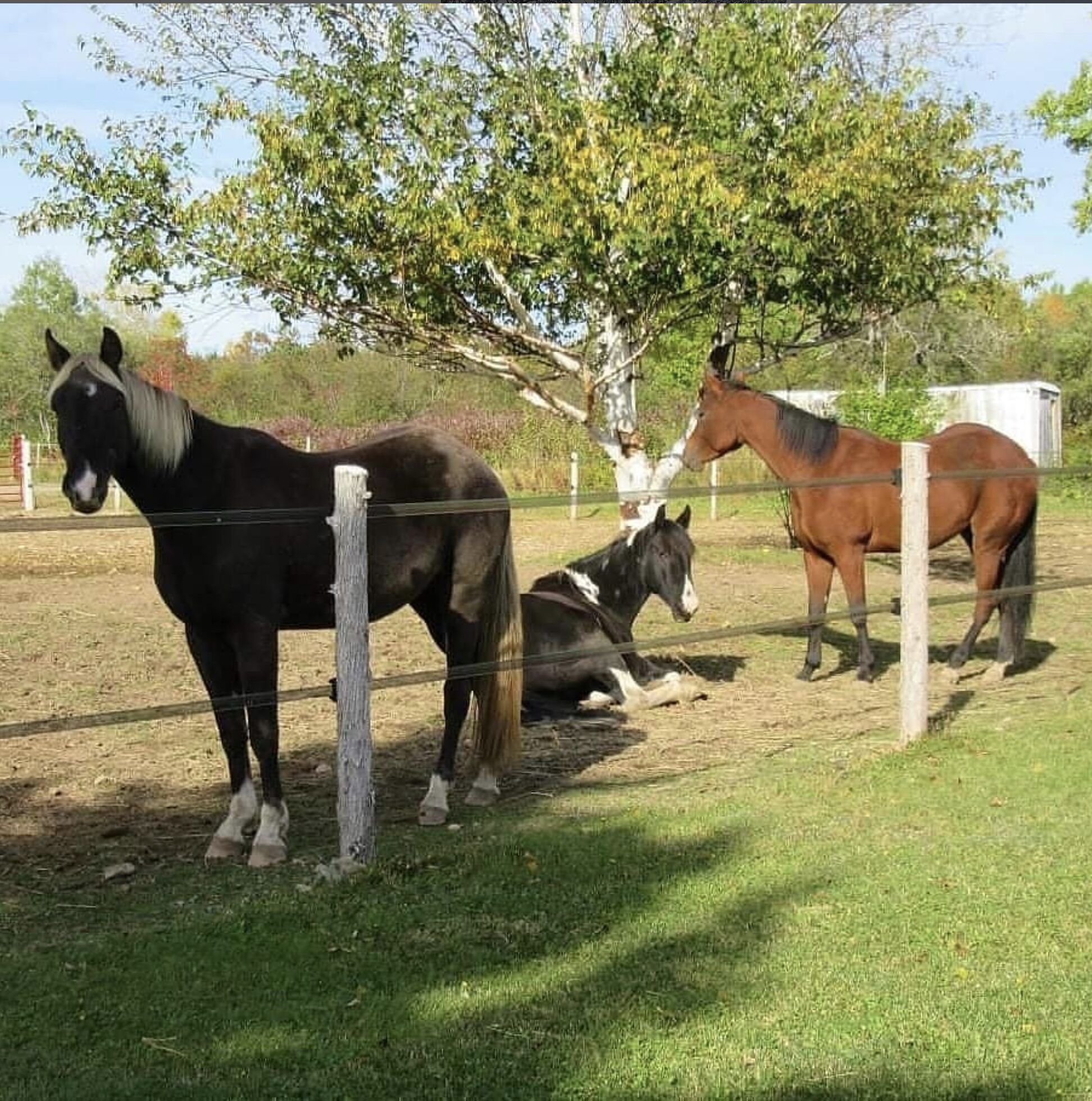 Capture decran 2025 08 02 a 10.36.13 1 1.jpg