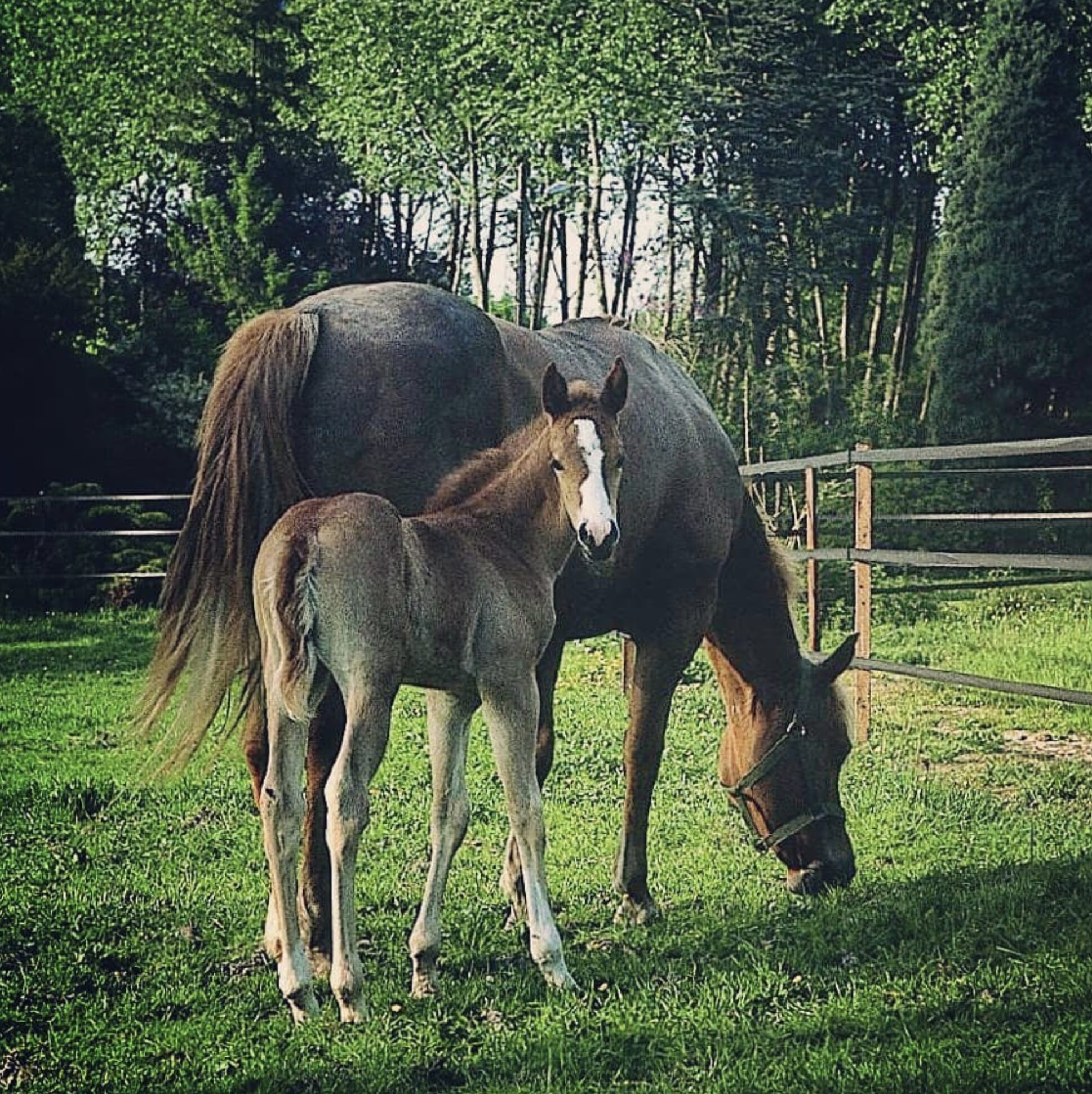 Capture decran 2025 08 02 a 10.37.15 1.jpg