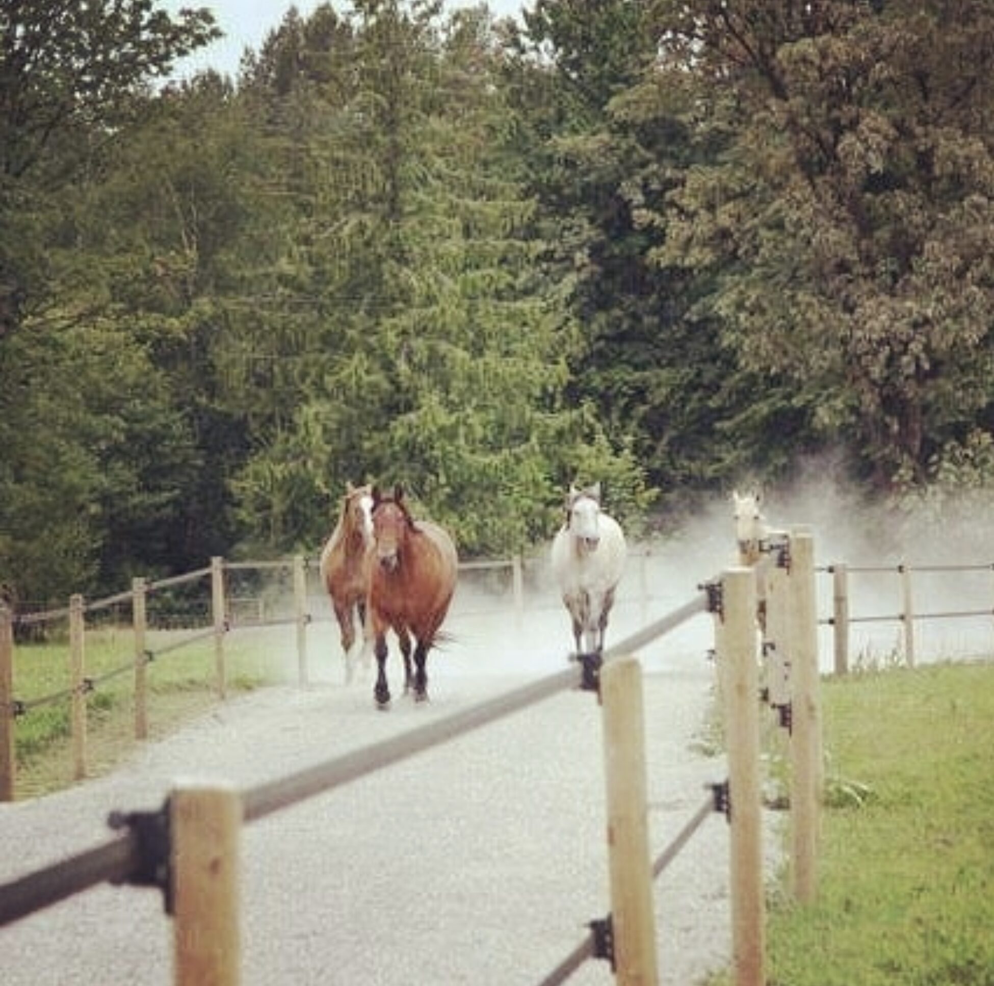 Capture decran 2025 08 02 a 10.37.45 1.jpg