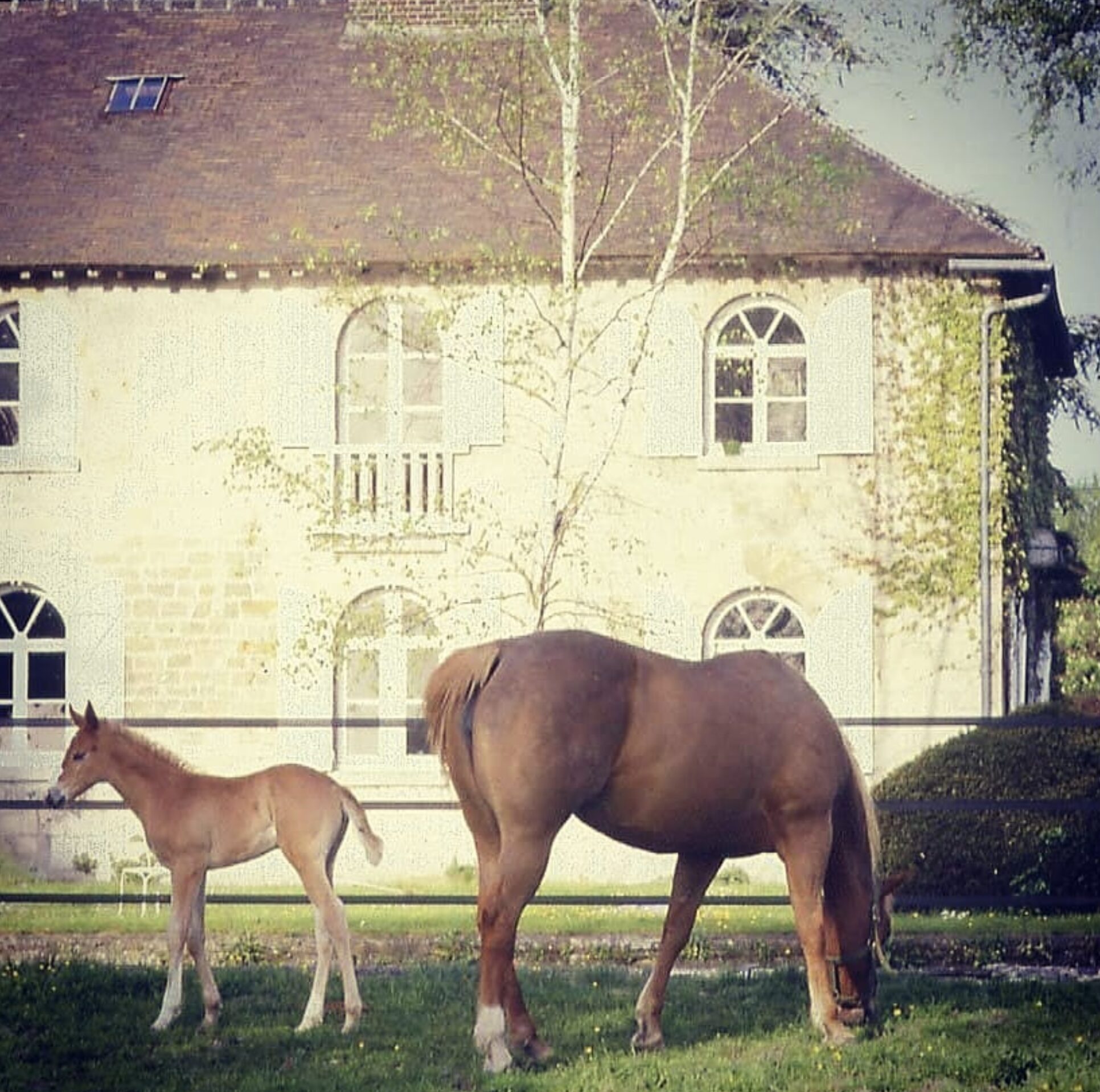 Capture decran 2025 08 02 a 10.38.06 1.jpg