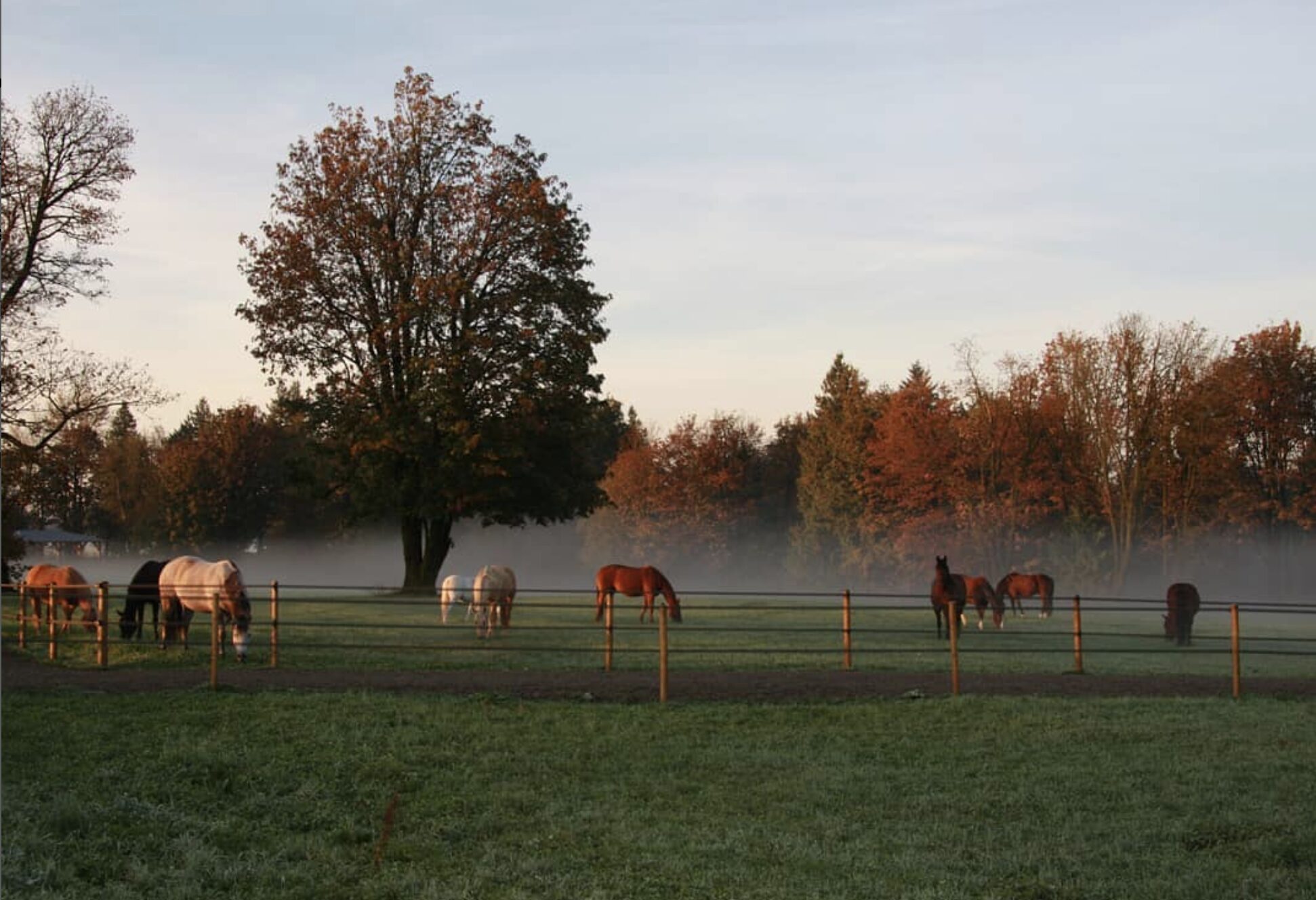 Capture decran 2025 08 02 a 10.38.29 1.jpg