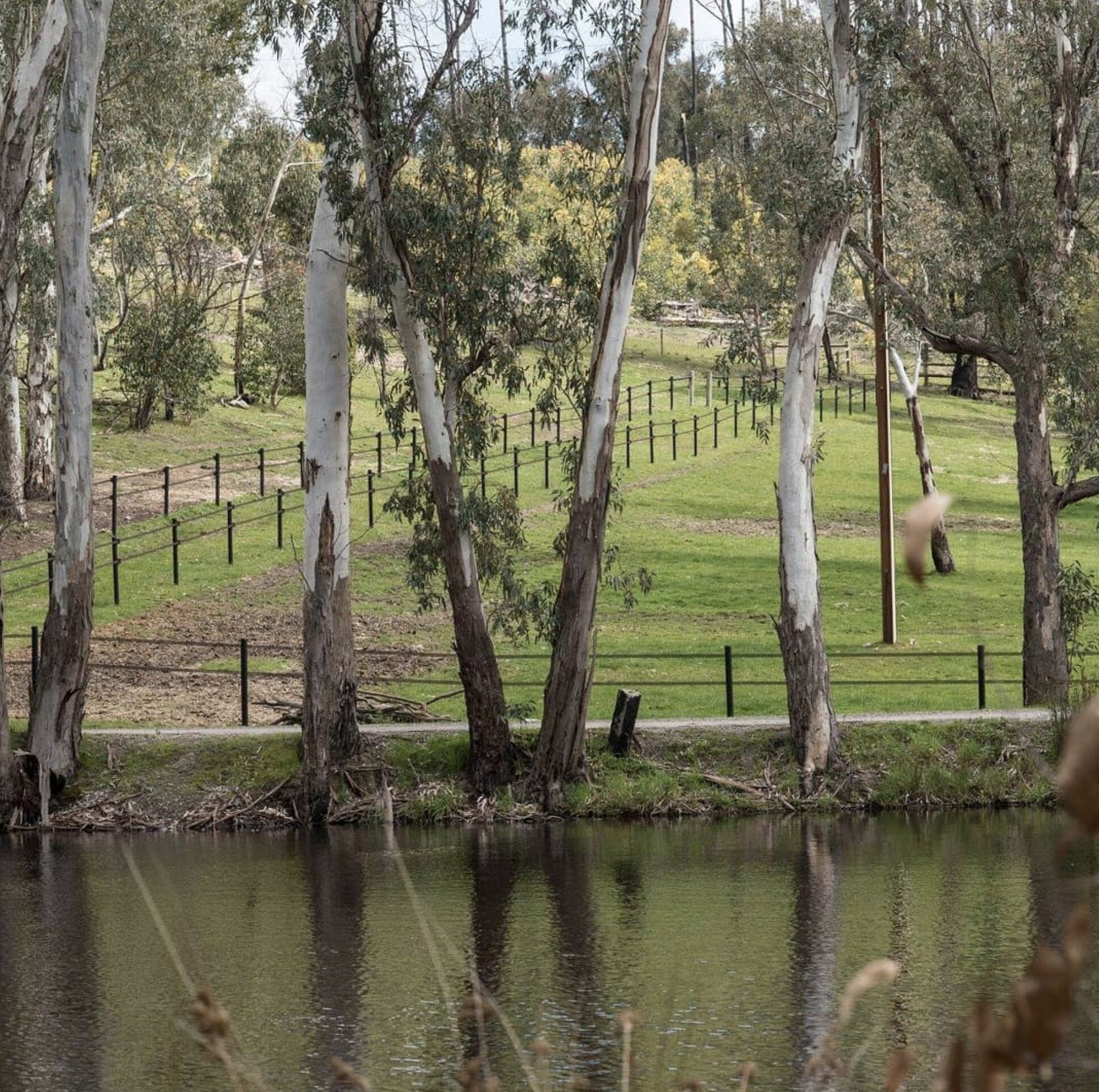 Capture decran 2025 08 02 a 10.39.20 1.jpg